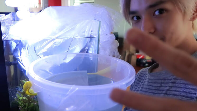 태용이의 탐구생활