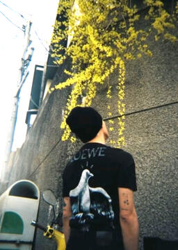 Miss You 3000 (831)