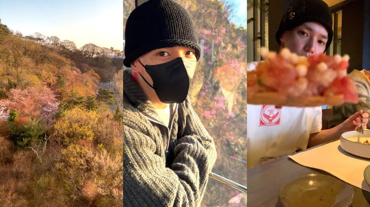 🌸벚꽃 없는 벚꽃 나들이🌸 with Zayson